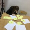 Математическая викторина 2017