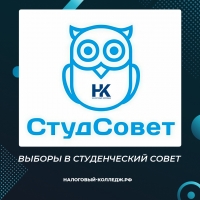 Выборы в Студенческий совет