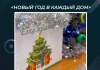 Акция «Новый Год в каждый дом»